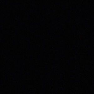 Meet your Posher, Dylan